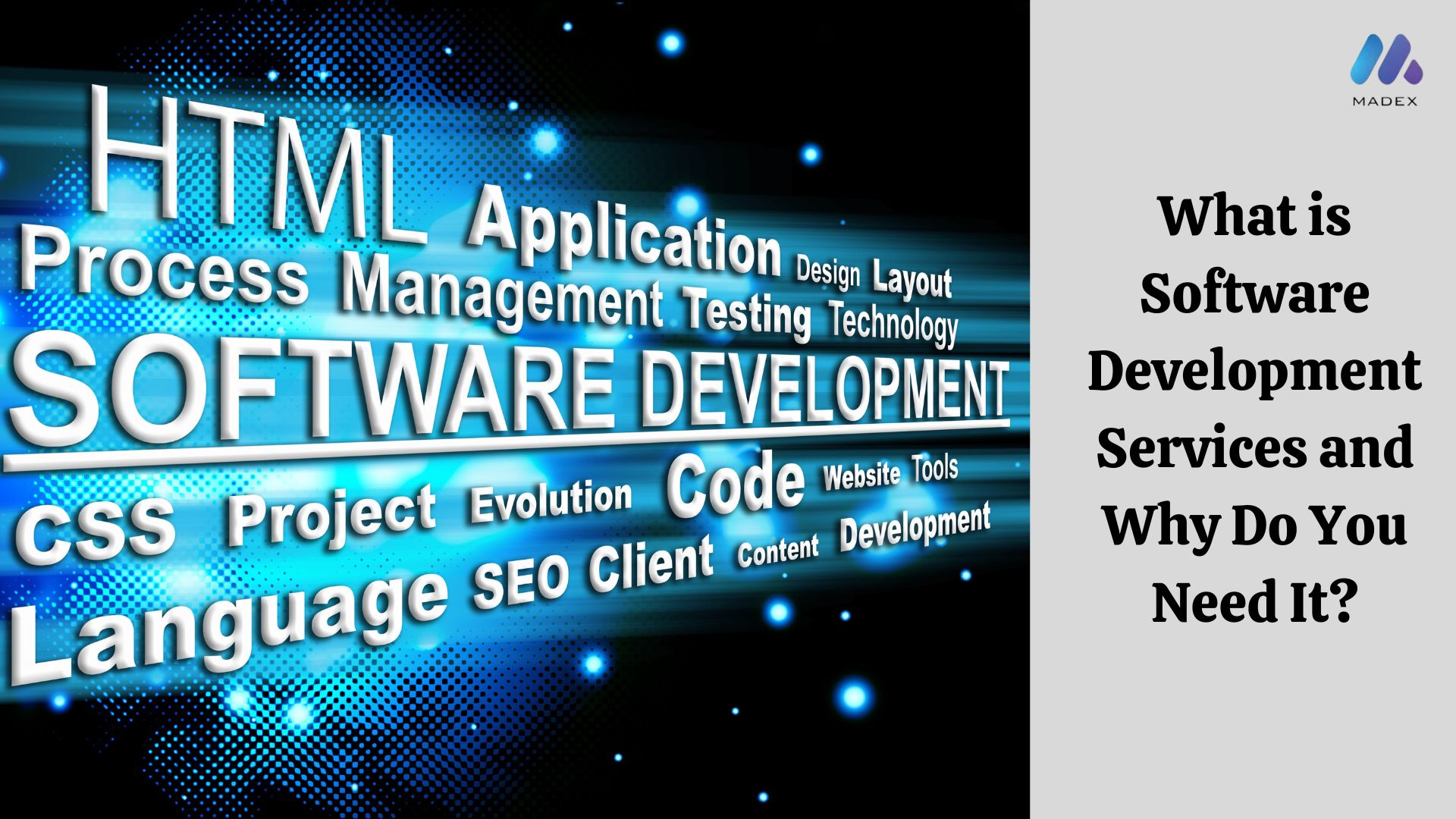 software development services